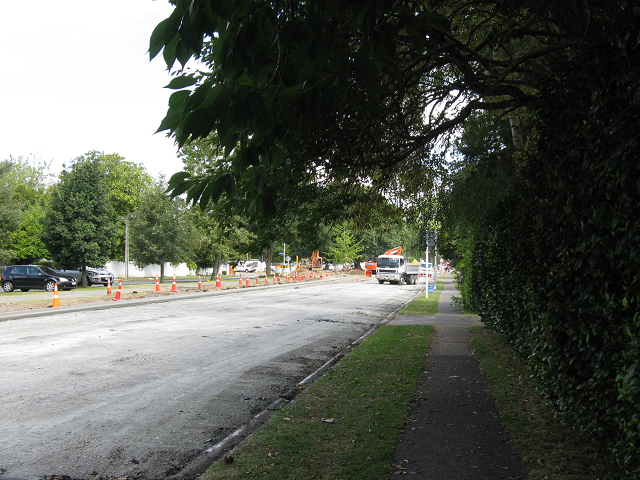 17. The work extends well along Victoria St. Cambridge Tree Trust